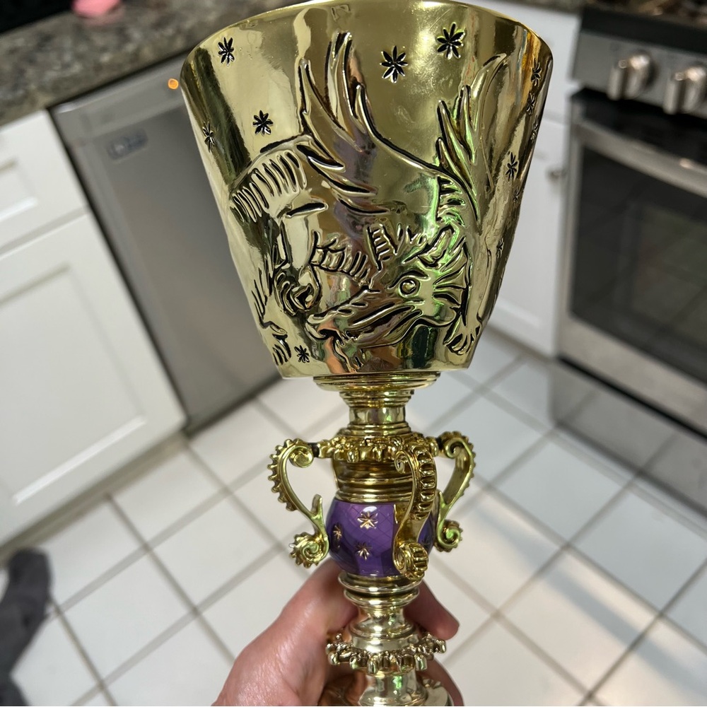 Dumbledore’s Cup Noble Collection Warner Brothers Harry Potter Chalice - Picture 11 of 14